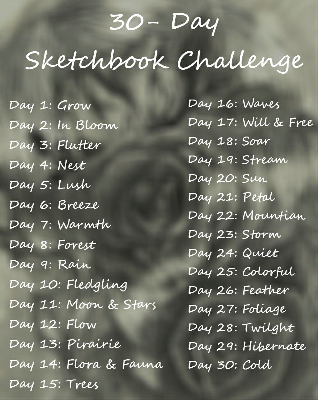 starting june 1st i am doing a 30 day sketchbook challenge to see first video