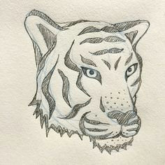 geek geekart illustrator thedesigntip draw drawing animal animals pen showyourwork tiger tigre drawings origamigne a 1 sketch per day
