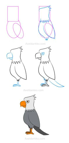 how to draw an eagle comment dessiner un aigle cartoon drawings of animals animal