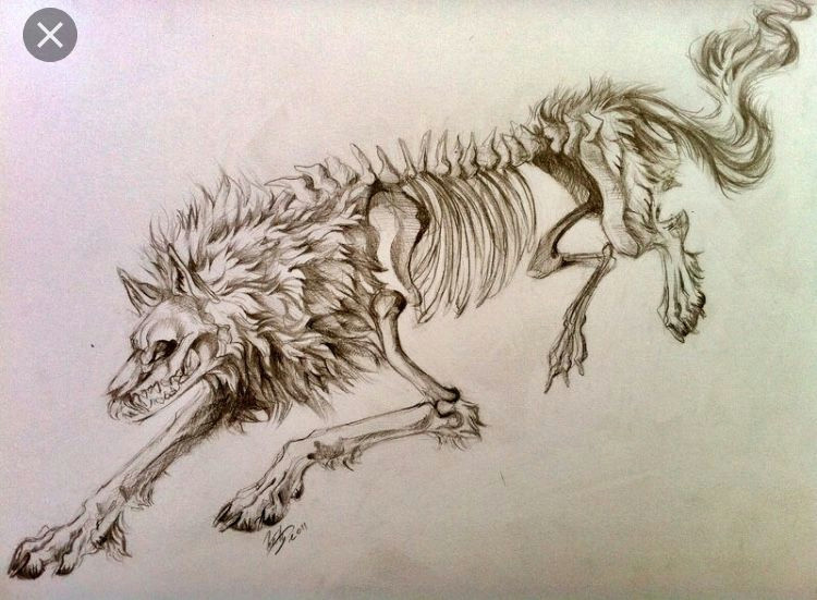 half of a two wolves tattoo concept i want to get rough idea not