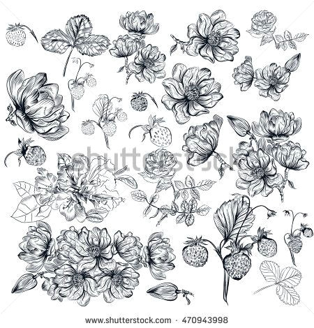 mega collection or vector set of hand drawn flowers