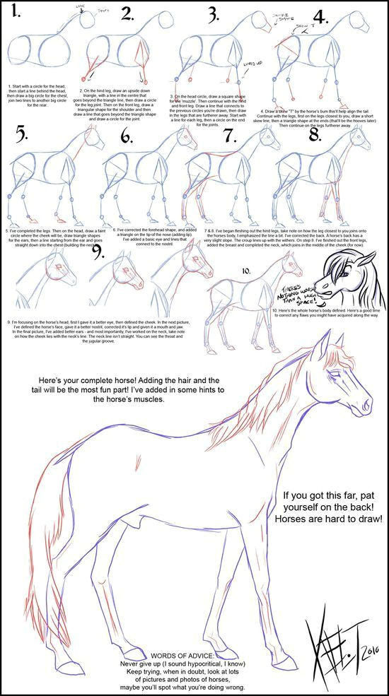 how to draw a horse