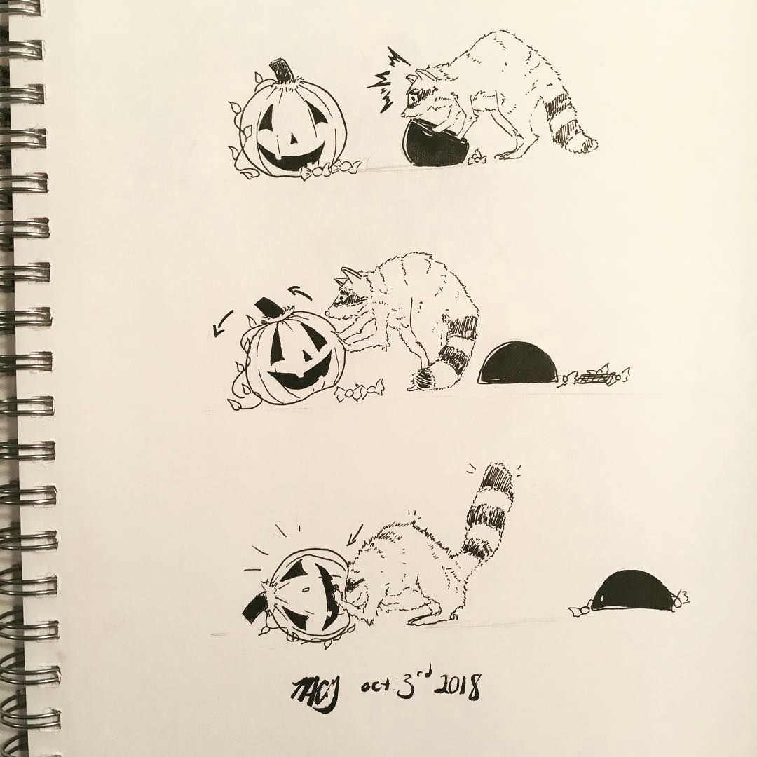 inktober day 3 a raccoon gets in some trouble swipe for more comic inktober inktober2018 inkart art raccoon drawing pumpkin late halloween cute