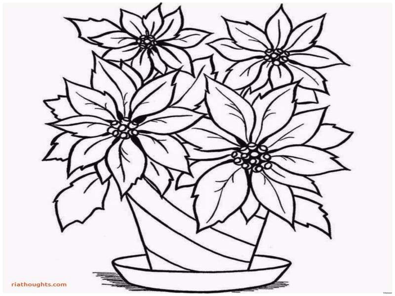 3 ways to have a more appealing how to draw a flower