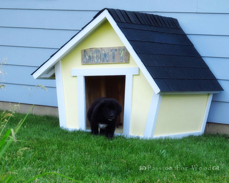 a puppy coming out of a yellow dog house