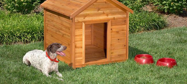 a dog sitting outside by his dog house
