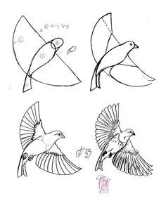 draw birds bird drawings easy drawings animal drawings drawing birds bird sketch