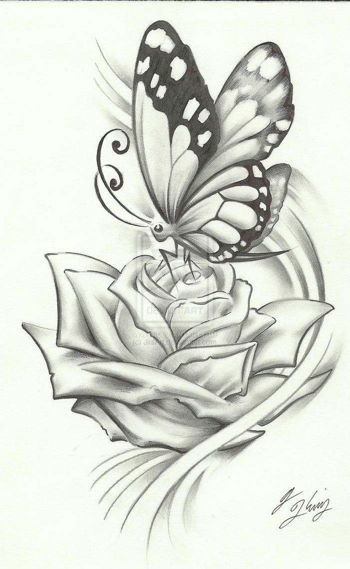 butterfly pencil drawing if it were a dragonfly it would be perfect