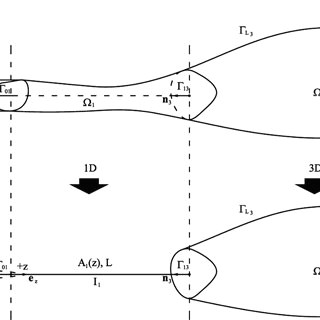 splitting of the domain of analysis to derive the 3d 1d 0d coupled model