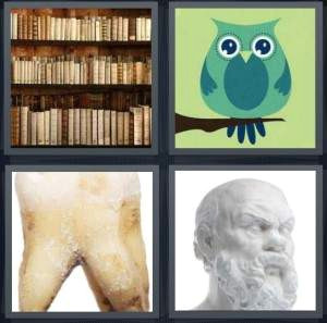 4 pics 1 word answer 6 letters for books on shelf in library green owl