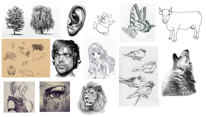 drawing can represent the world on various levels of accuracy from few lines sketches to photorealism