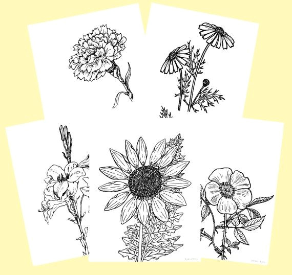 printable floral coloring pages bundle of 5 adult children coloring pages coloring flowers adultcoloring