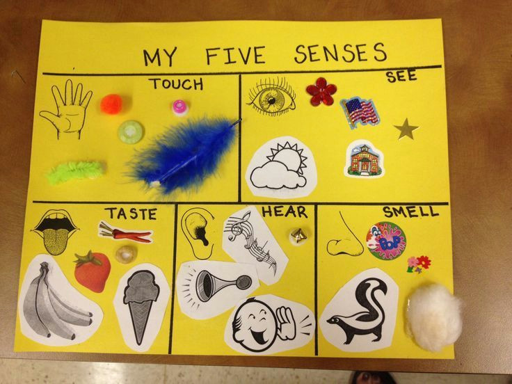 five senses ideas for preschool 5 senses preschool craft preschool activities pinterest senses preschool preschool and 5 senses preschool