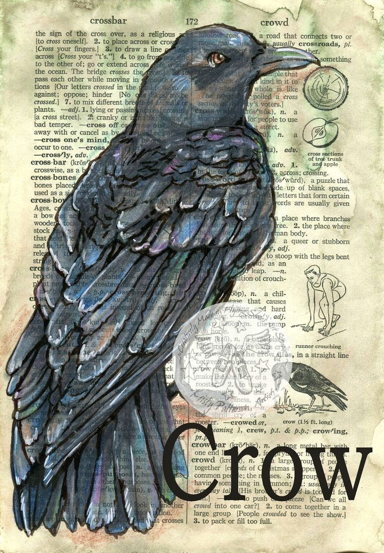 6 x 9 print of original mixed media drawing on distressed dictionary page this drawing of a crow is drawn in sepia ink and created with pastel