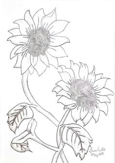 two sunflowers original pencil drawing