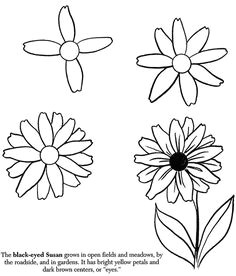how to draw flowers black eyed susan