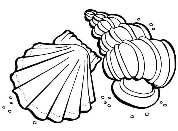 9 11 coloring pages new 11 coloring in bbeerfarts coloring image for all age inspiration of