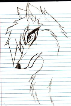 draw anime wolves