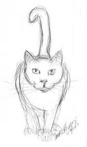 easy cat drawings in pencil wallpapers gallery