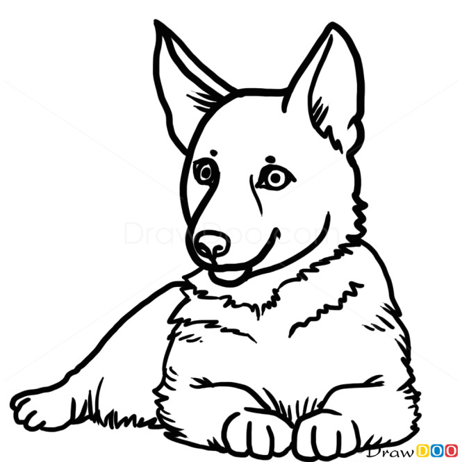 A Simple Drawing Of A Dog How to Draw Puppy German Shepherd Dogs and Puppies Drawings In