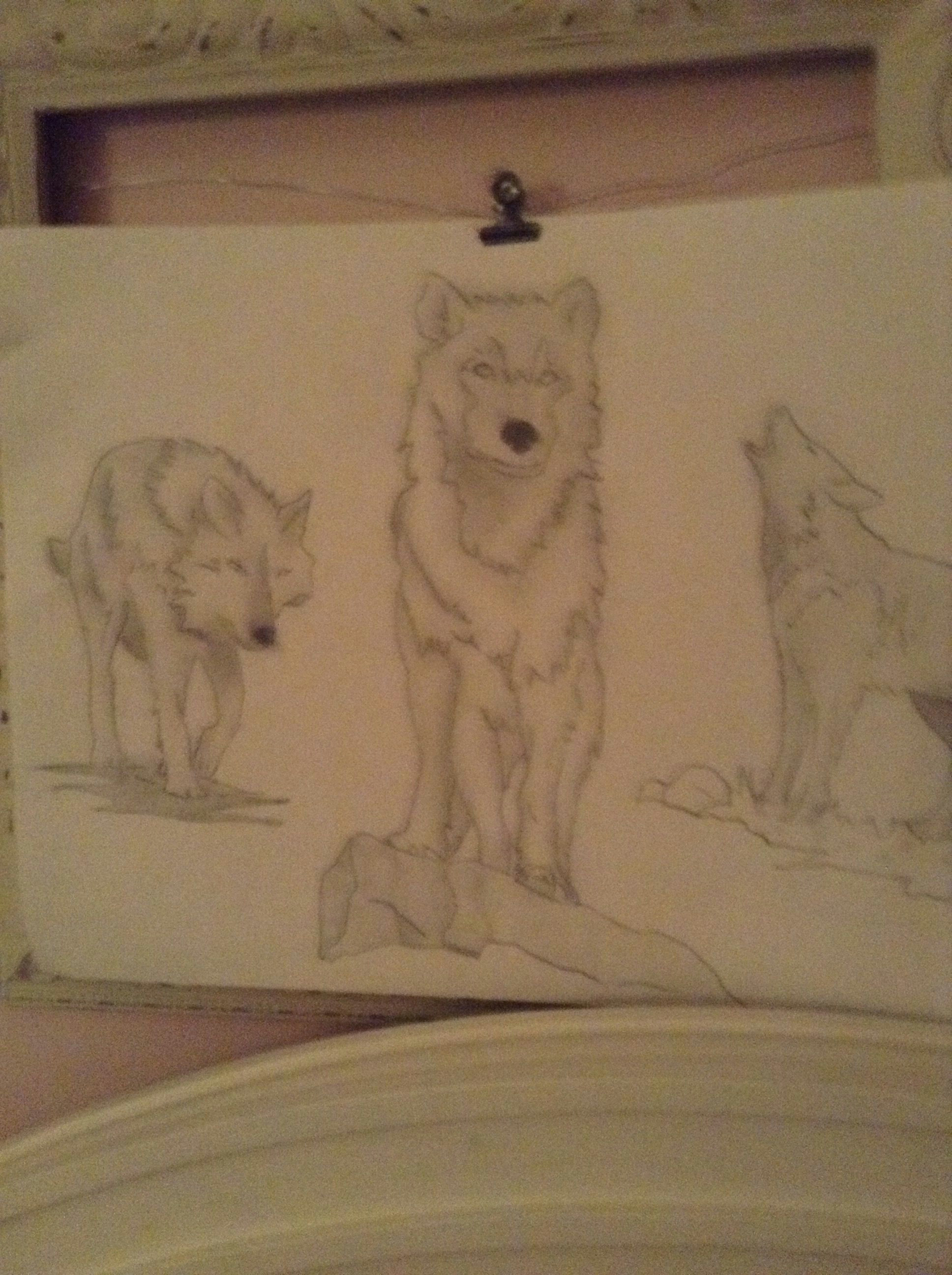 simple wolf sketch i did most of the work the only thing that i didn t draw was the skeleton of the drawing