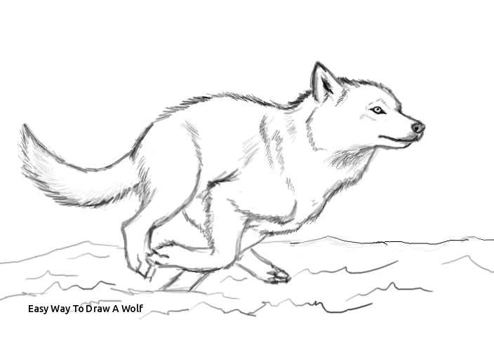 easy way to draw a wolf when you run make sure you run to something and