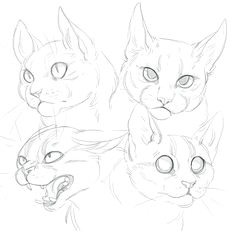 cat doodles