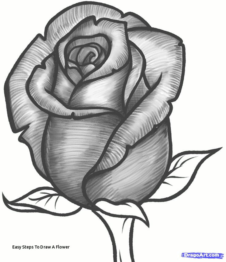 easy steps to draw a flower how to draw a rose bud rose bud step 10
