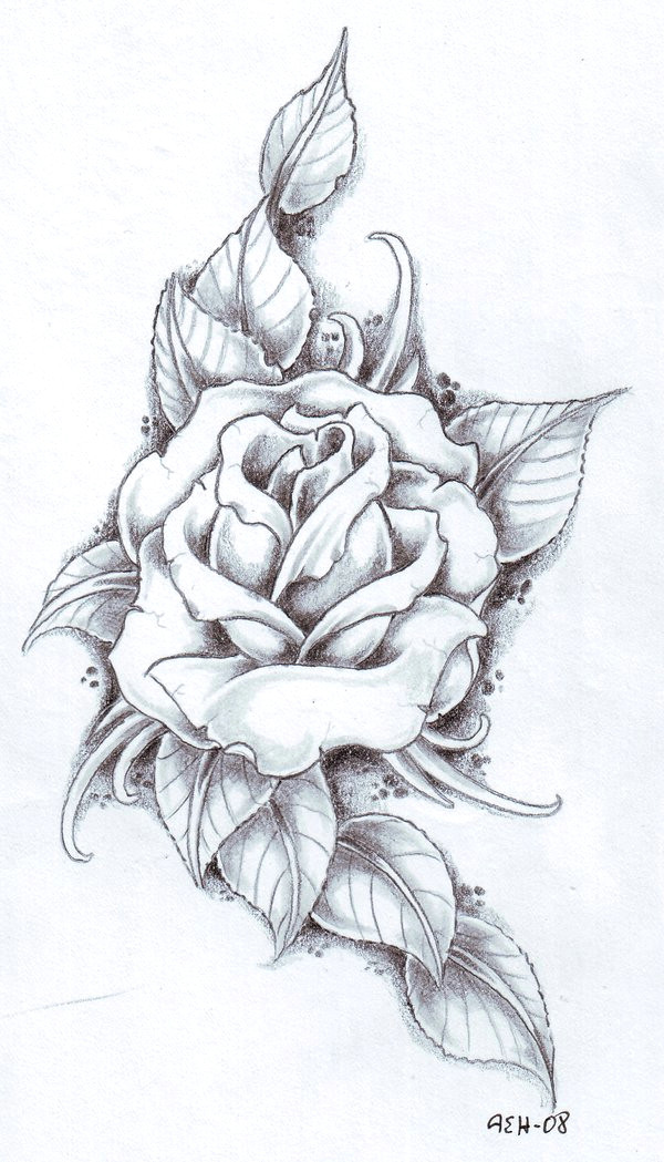 rose with banner best of drawings roses s s media cache ak0 pinimg originals 89 0d 6b