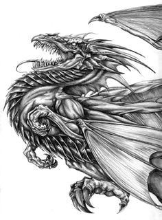 dragon drawing 8 cool dragon drawings dragon sketch amazing drawings cool sketches