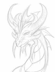 dragon head drawing google search dragon head drawing a drawing drawing reference