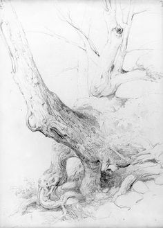 artist asher b durand tree drawings william asher images