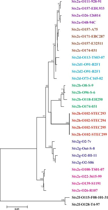 phylogenetic tree of stx2 subtypes by the neighbor joining method the neighbor joining tree was inferred from comparison of combined a and b holotoxin
