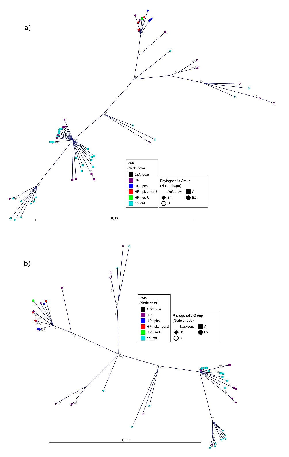 radial tree of the six housekeeping gene fragments