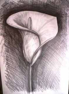 easy flower drawing in pencil google search pencil drawings of flowers flower sketch pencil