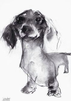 dachshund painter valerie davide dachshund tattoo dachshund funny dachshund art dachshunds