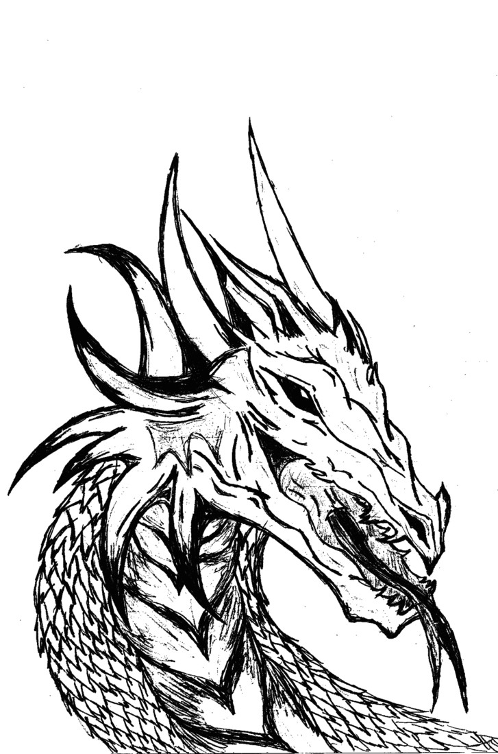 black and white dragon art images pictures becuo