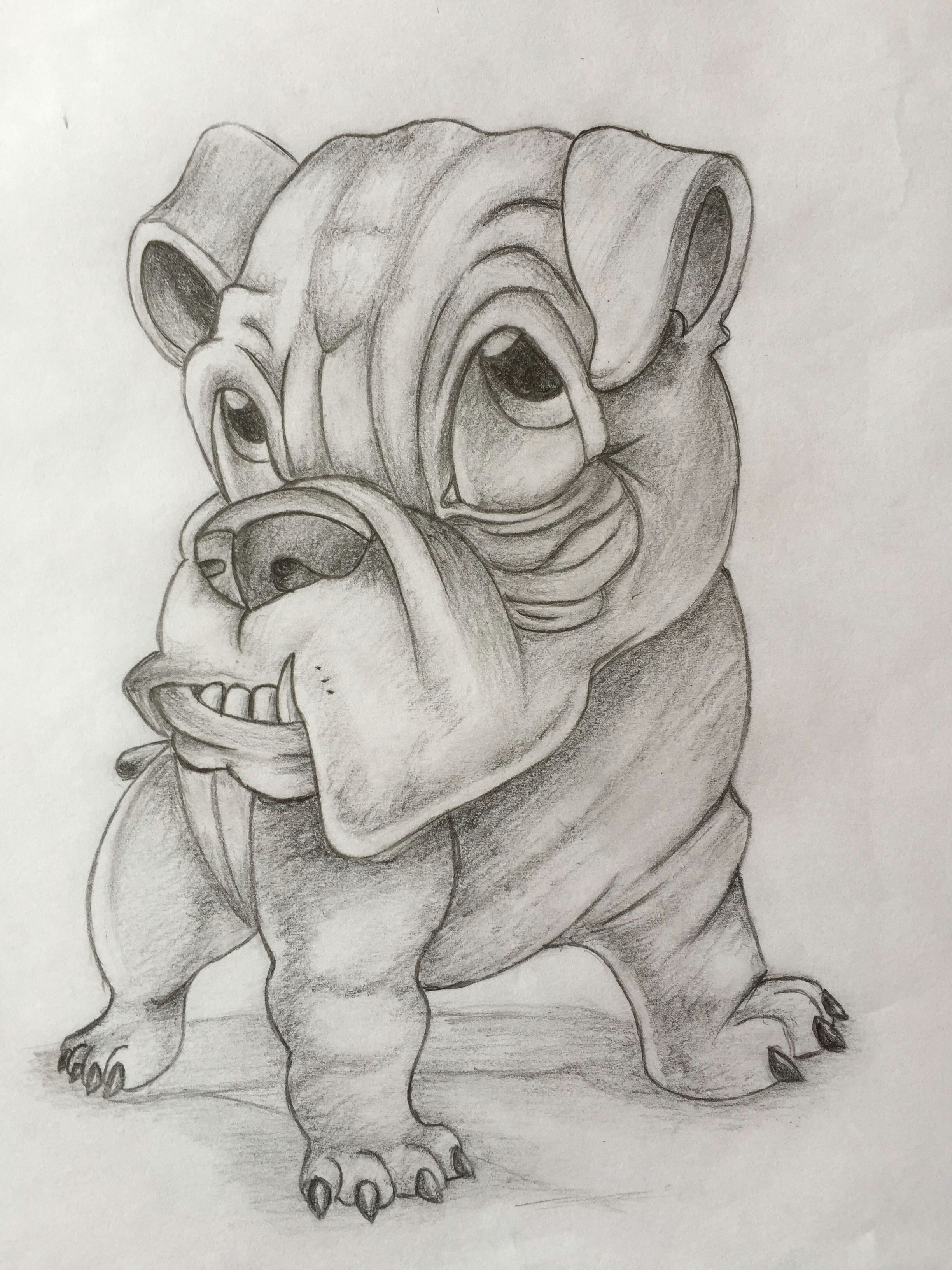 bulldog