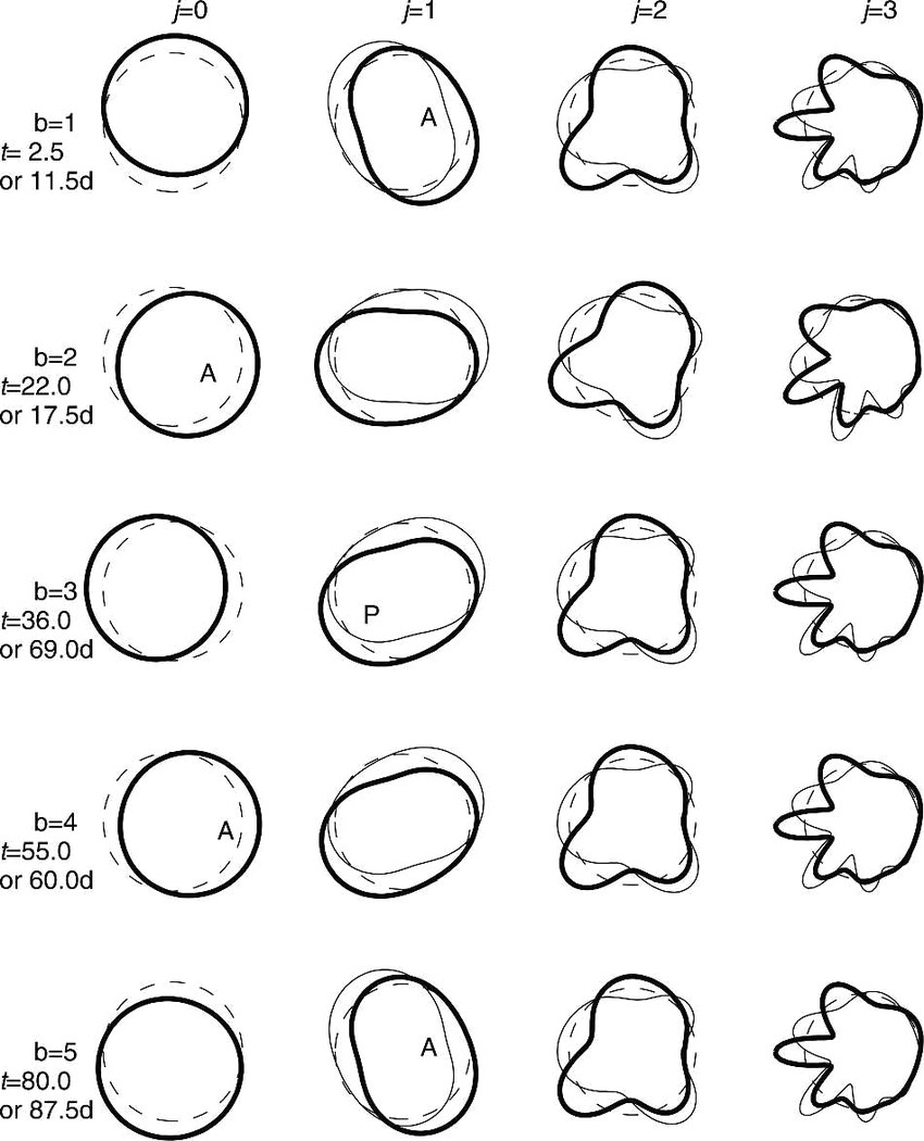 C Drawing Circle Wavelets In Polar Projection Row B Column J 1 Shows A Scaled Polar