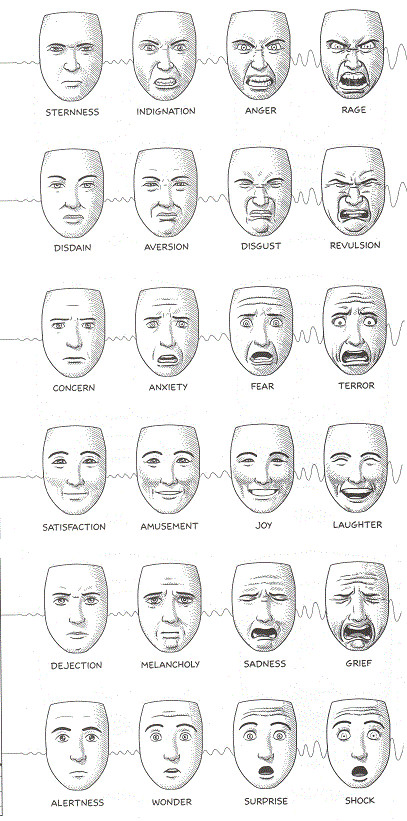 categories of emotion as defined by facial expressions it s good knowing this when you have a caricature you re carving i really enjoy crossing over the