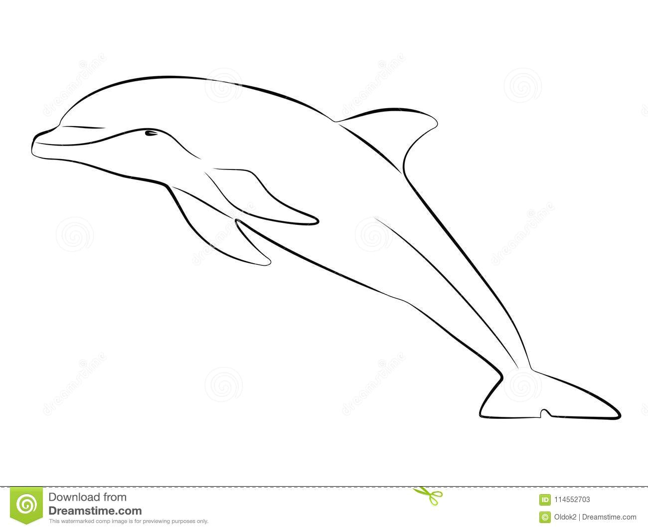 silhouette dolphin vector draw