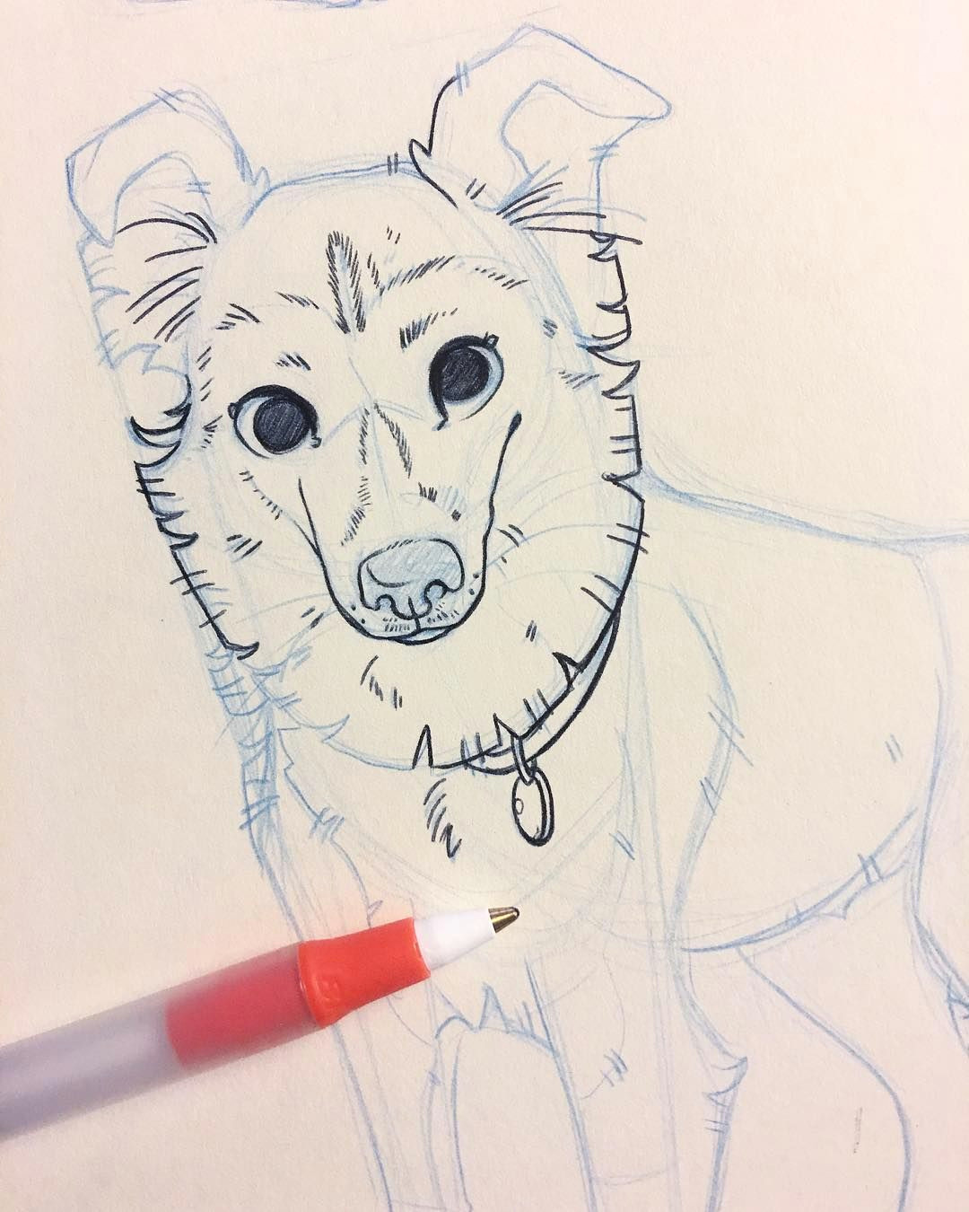 making up a new pet portrait for salt lake city comic con this one will be a colored example i think pets dogs dogsofinstagram art artist drawing