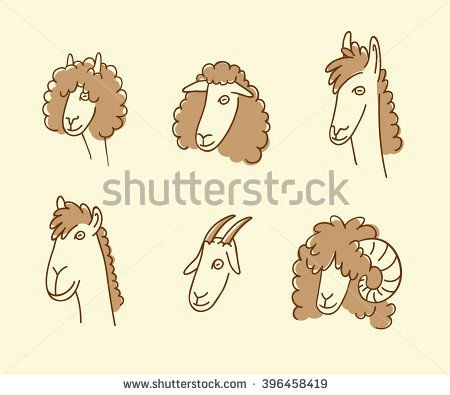 outlined cartoon head collection of sheep alpaca merino lama goat and camel stock vector