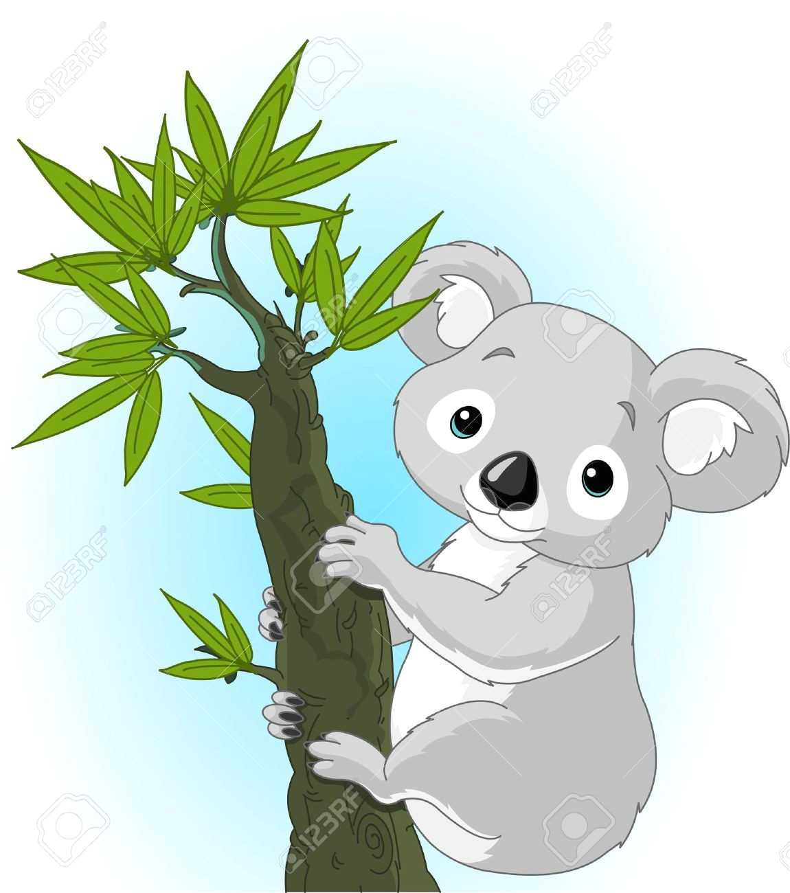 image result for koala clipart
