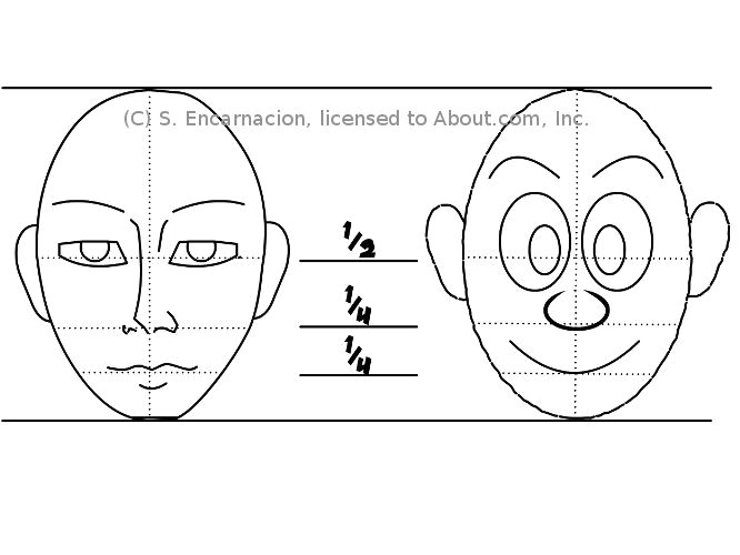 face proportions of a cartoon character