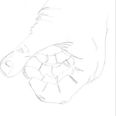a blind contour drawing of a human hand