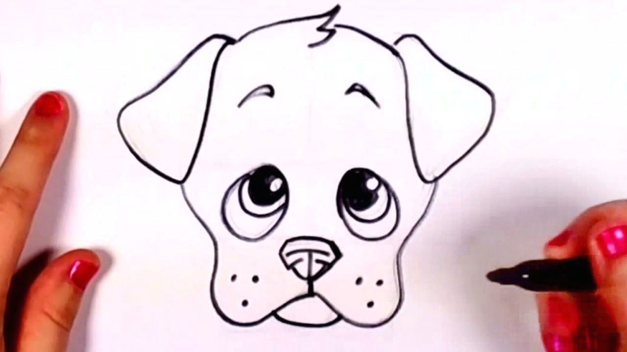 how to draw a dog face with pictures wikihow