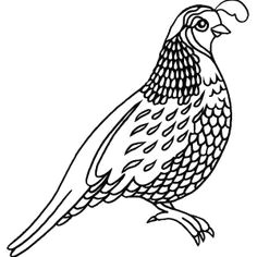 image result for quail family art bird crafts quail tattoo southwest art leftover