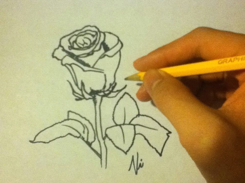 how to draw a rose easy please watch this in youtube for better resolution and faster loading d please share this with anyone that might like to draw