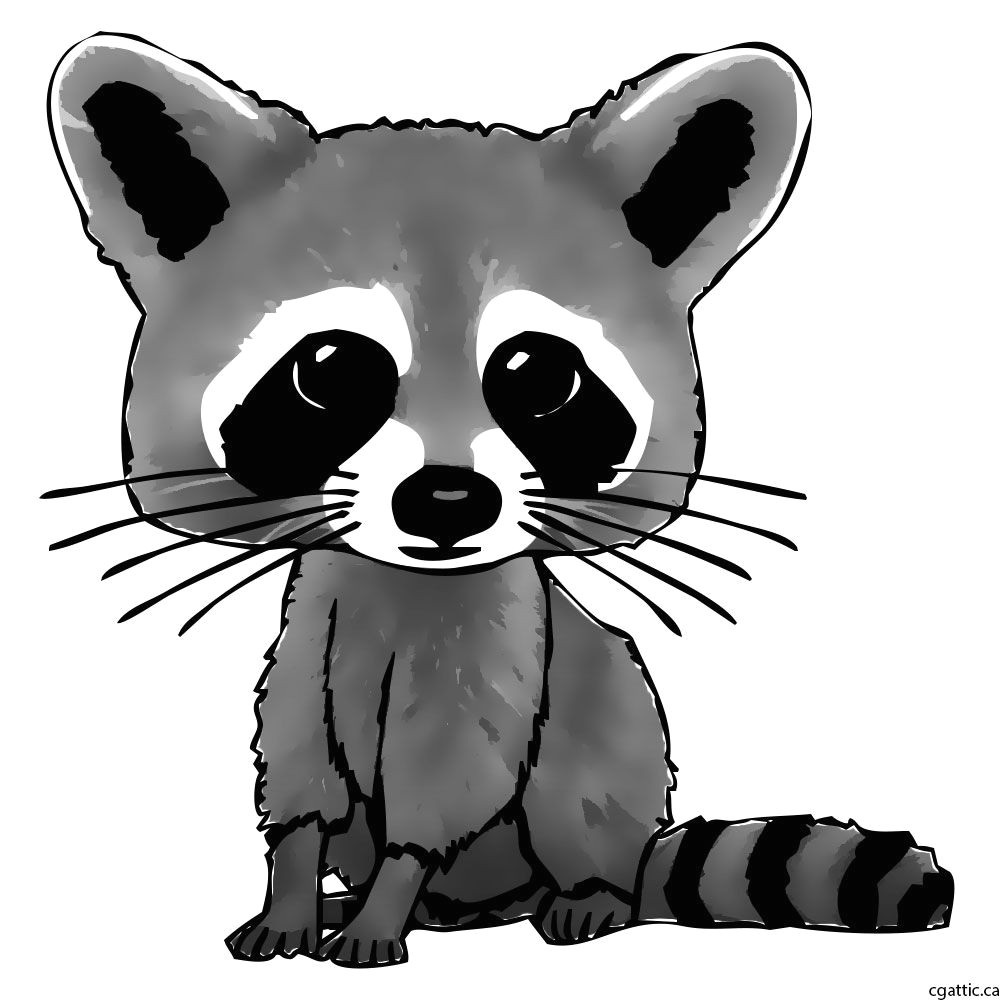 cartoon raccoon drawing step 4 draw optional fur and enhance the color to make the cartoon stand out more